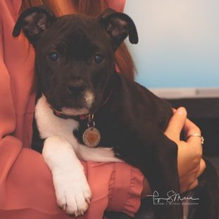 Olive Hubbard, company mascot