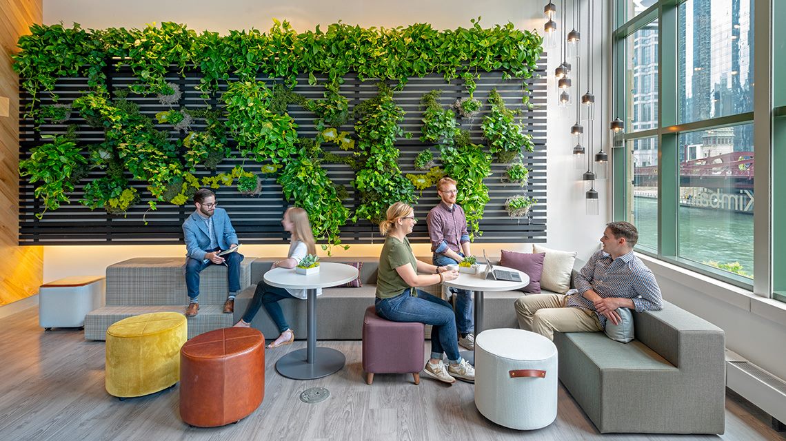 Biophilic Design in the Workplace
