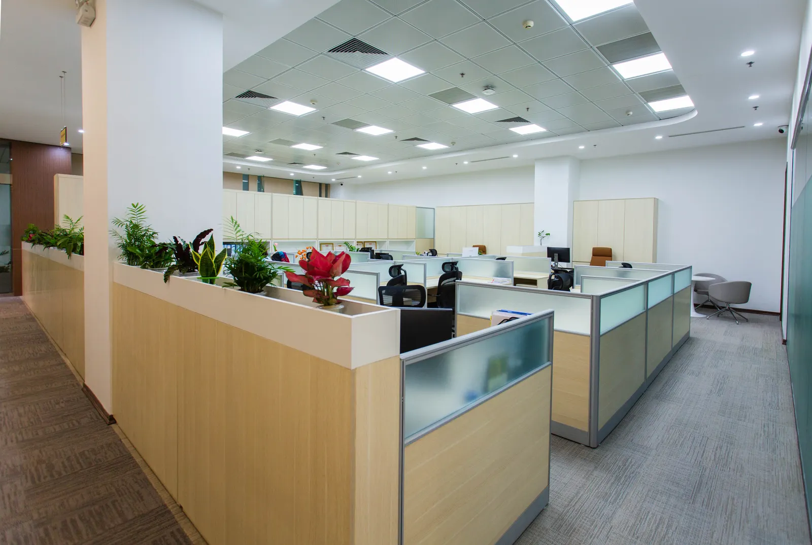 Are Open Plan Offices Better?