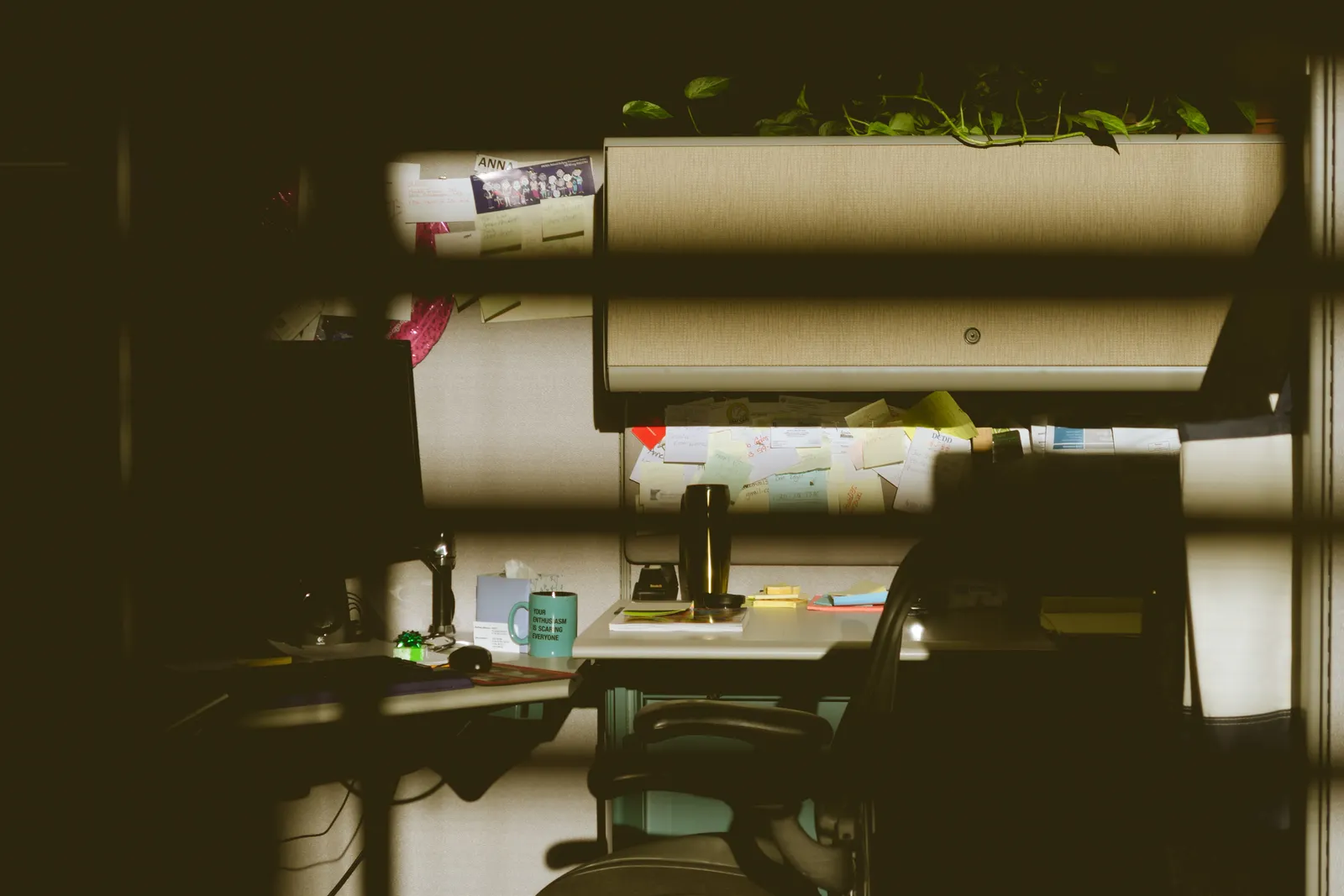 Budget Used Office Furniture in Florida