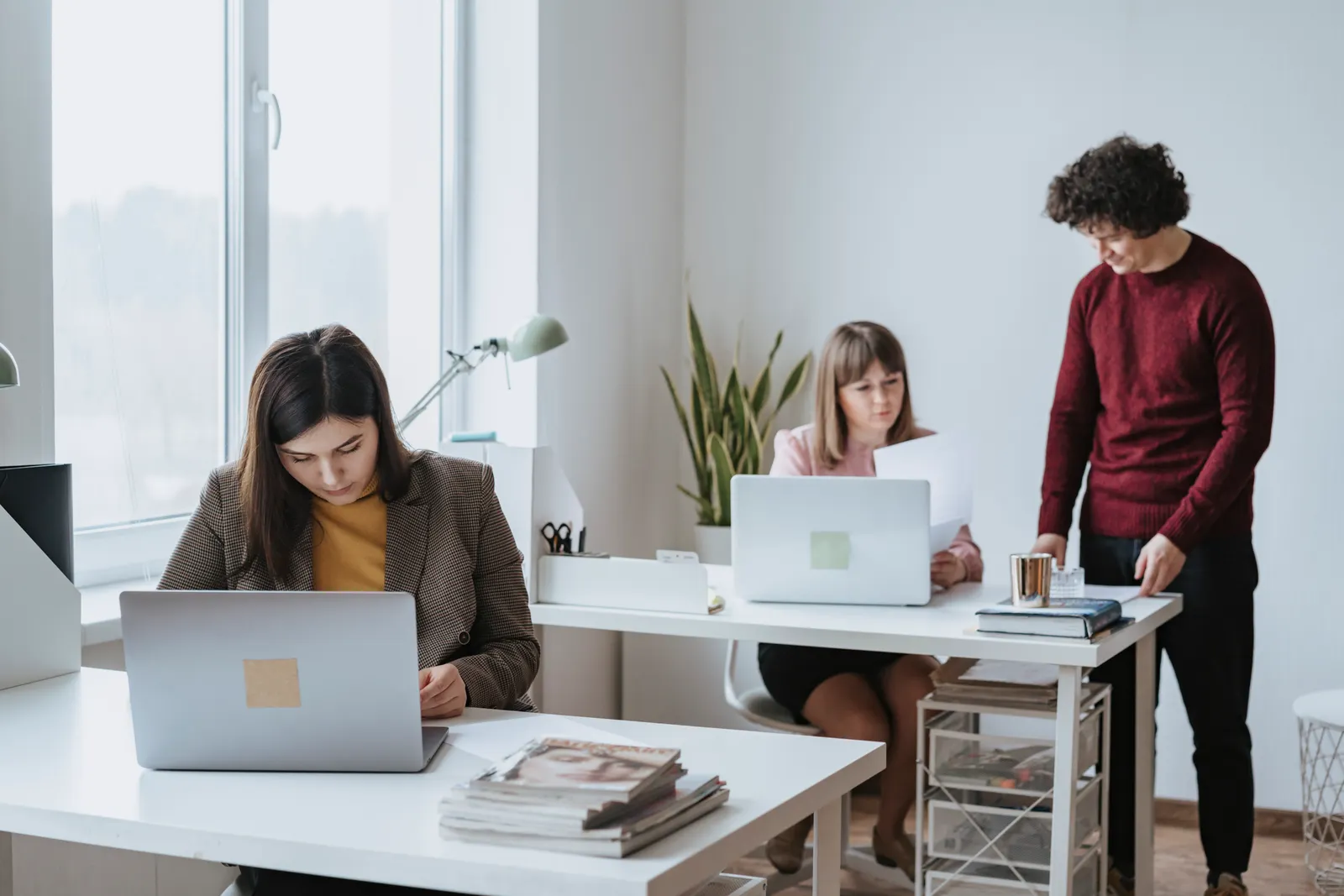 Group of colleagues working together in a bright, modern office space with laptops